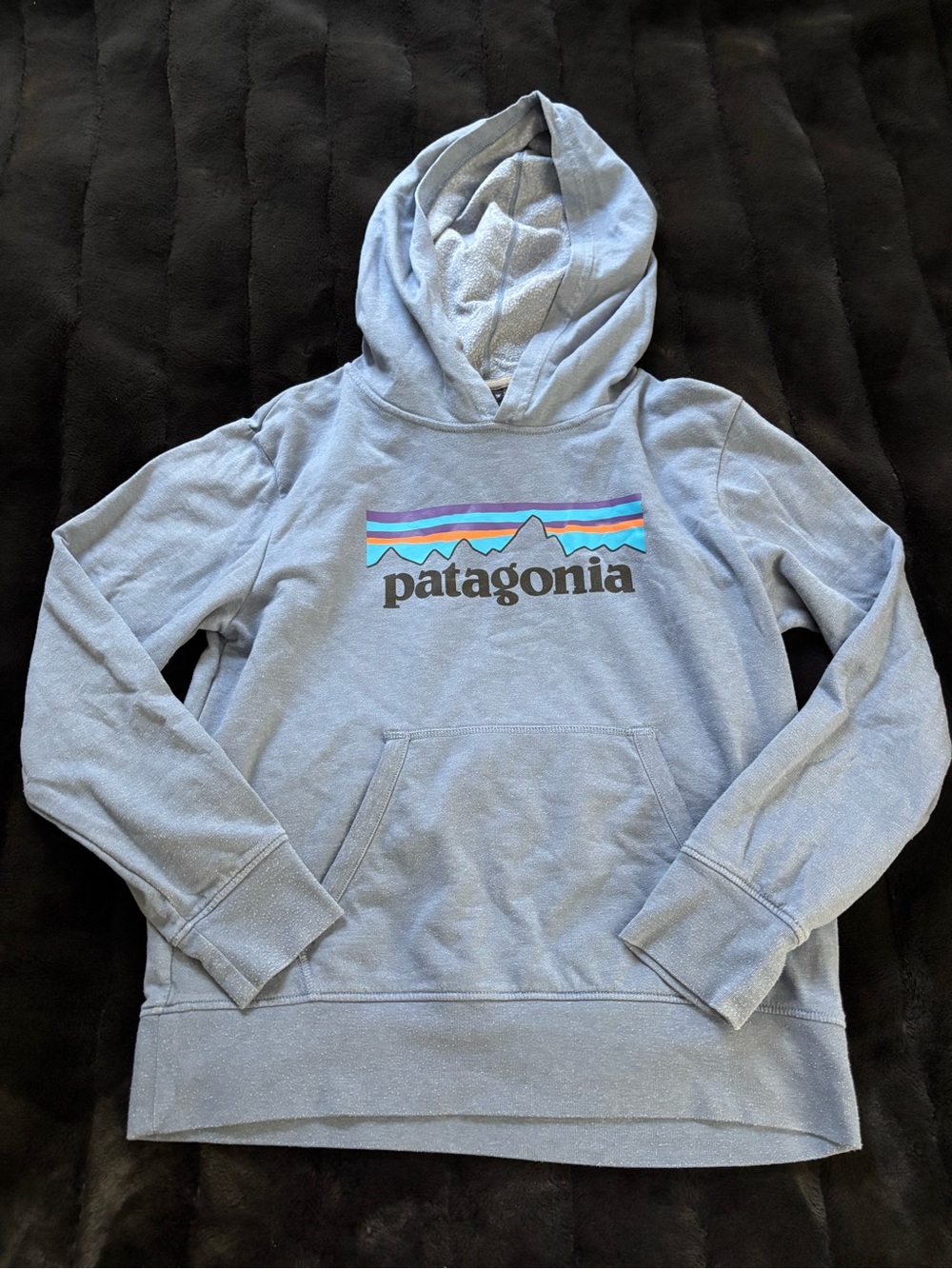 Patagonia Light Blue Lightweight Outdoor Hiking Cozy Fall Logo Pocket Hoodie